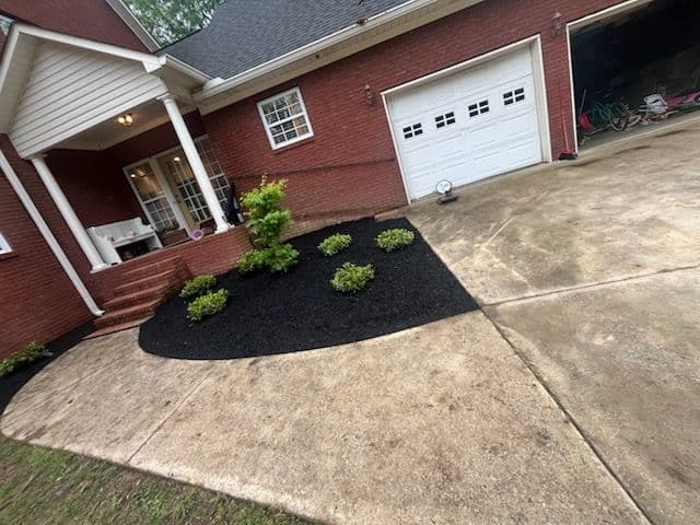 Gallery photos for Landscape Transformation with Revitalizing Plants: Image #2