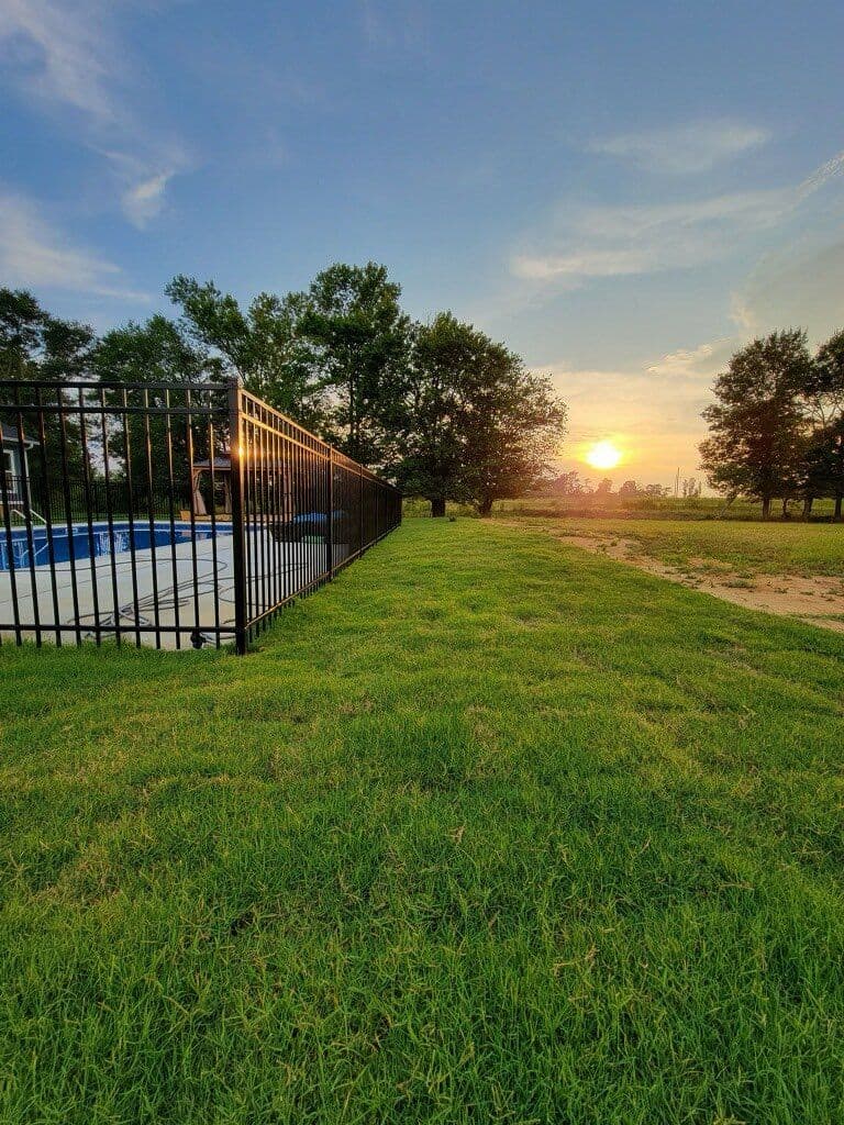 Project Transform Your Yard with Lush Sod Installation image