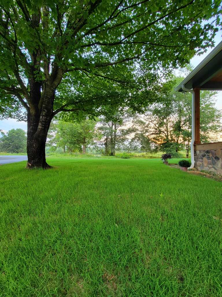 Gallery photos for Transform Your Yard with Lush Sod Installation: Image #1