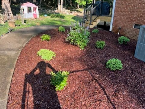 Gallery photos for Enhancing Homes with Fresh Mulch and Pine Straw: Image #2