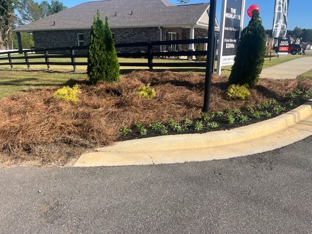 Warm Welcome to Arab Subdivision with Fresh Landscaping image