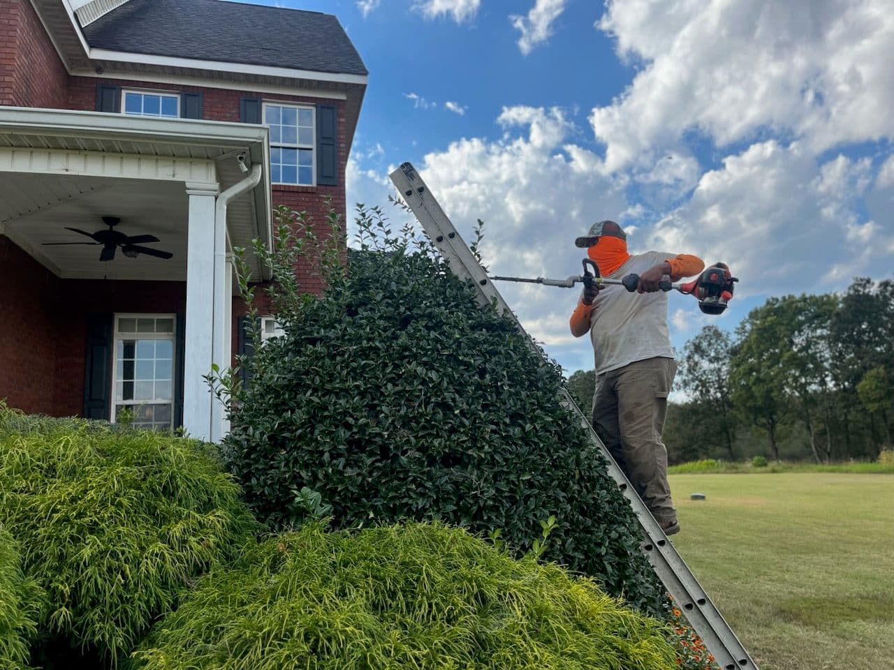 Seasonal Trimming Expertise in Action image