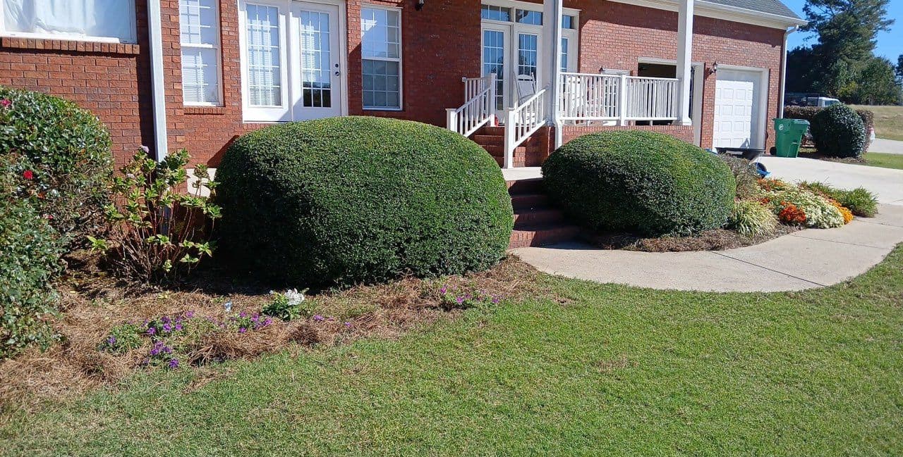 Enhancing Curb Appeal with Precision Shrub Trimming