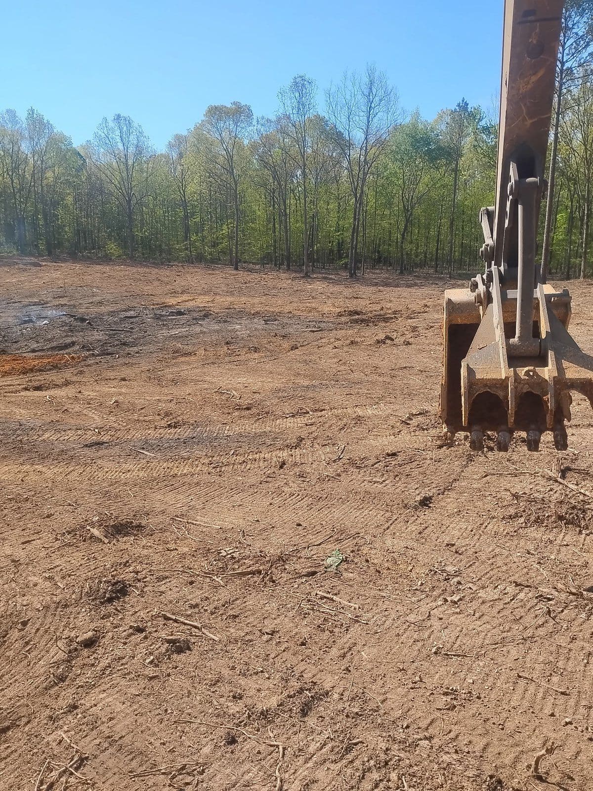 Project Efficient Land Clearing for Your Next Big Project image