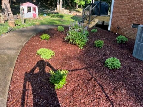 Comprehensive Landscape Transformation