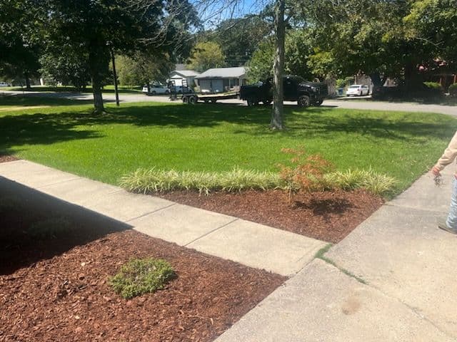 Stunning Front Yard Transformation with Fresh Mulch