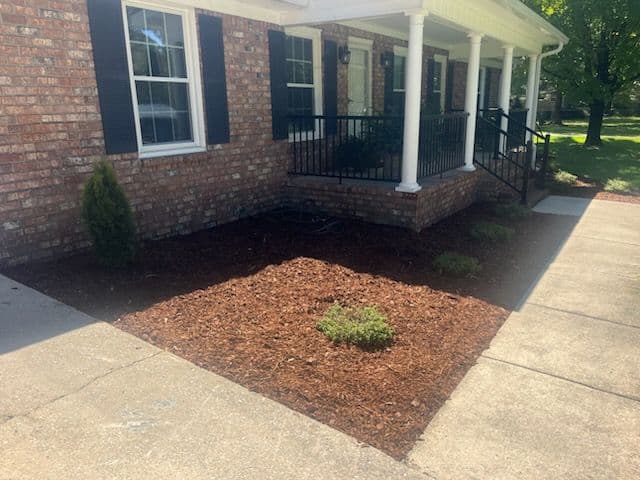 Stunning Front Yard Transformation with Fresh Mulch