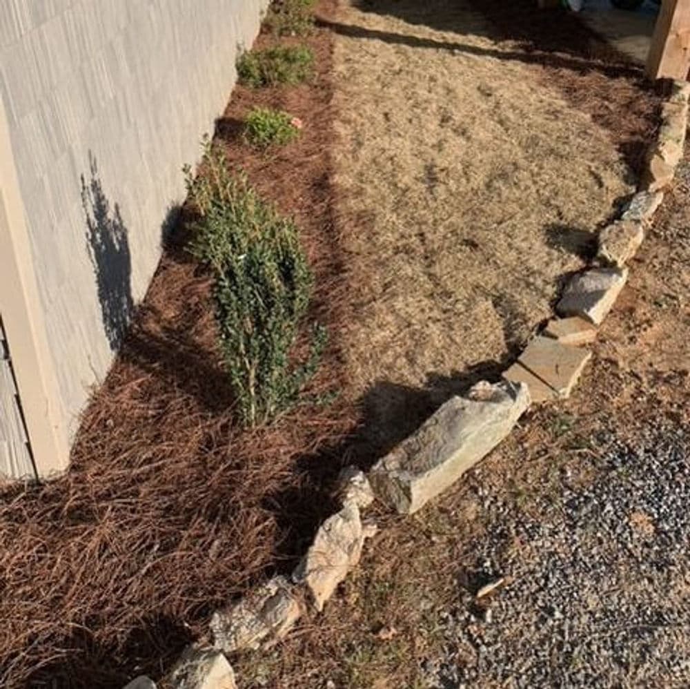 Landscaped pathway with stone border, dry grass, and shrubs against a building wall.