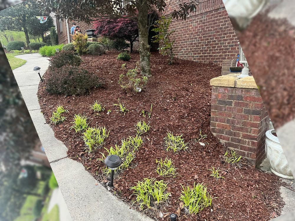 Mulched garden bed with new green plants and landscape lighting near brick house entrance.