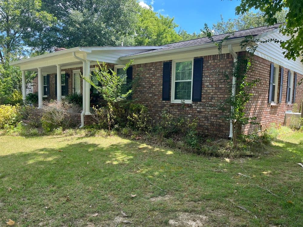 Brick house with blue shutters, overgrown yard, and clear blue sky in the background.