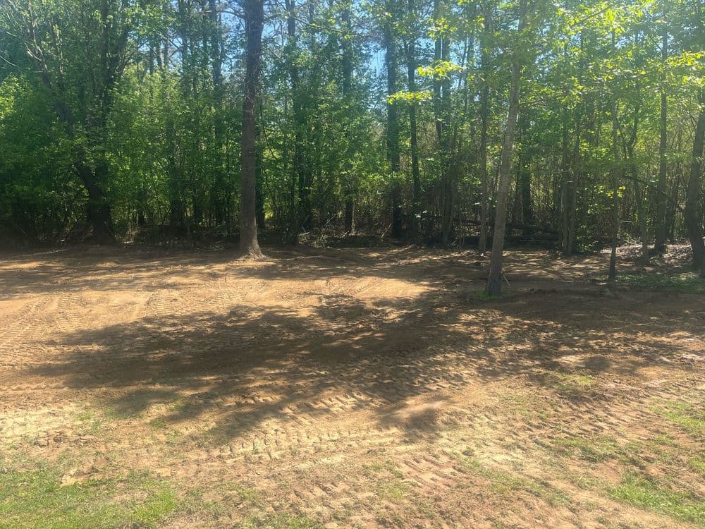 Cleared forest area with fresh soil and tree shadows, surrounded by lush greenery.