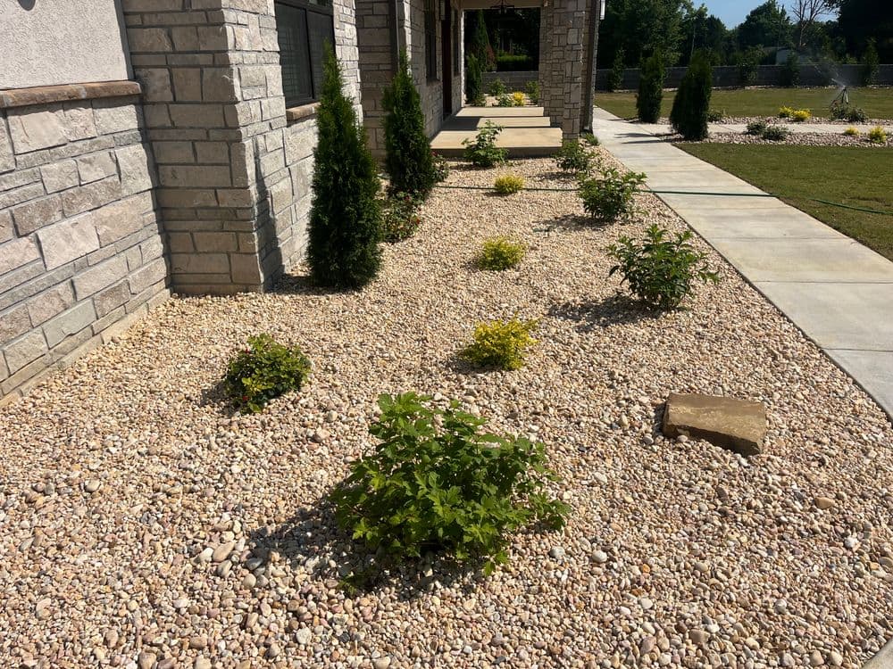Modern landscape design featuring ground cover plants and decorative stones.