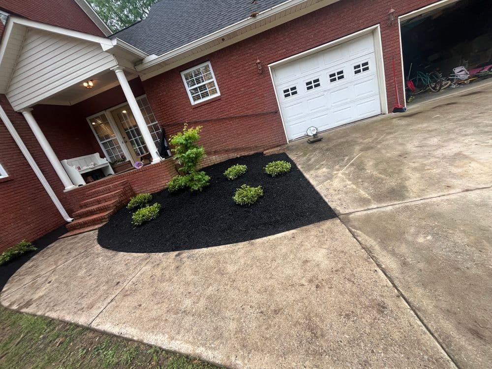 Landscaped front yard with black mulch and shrubs next to a brick house and driveway.
