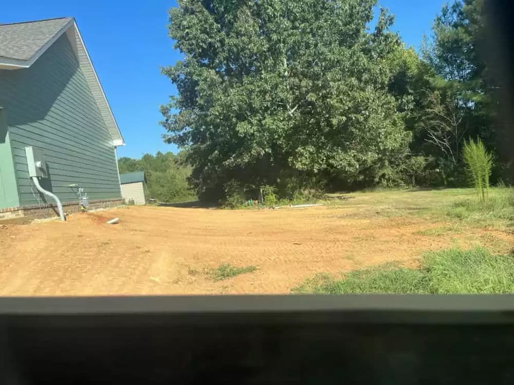 View of a green house next to a dirt path and large tree under a clear blue sky.