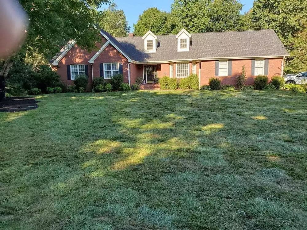 Single-story brick house with manicured lawn and shrubs under clear blue sky.