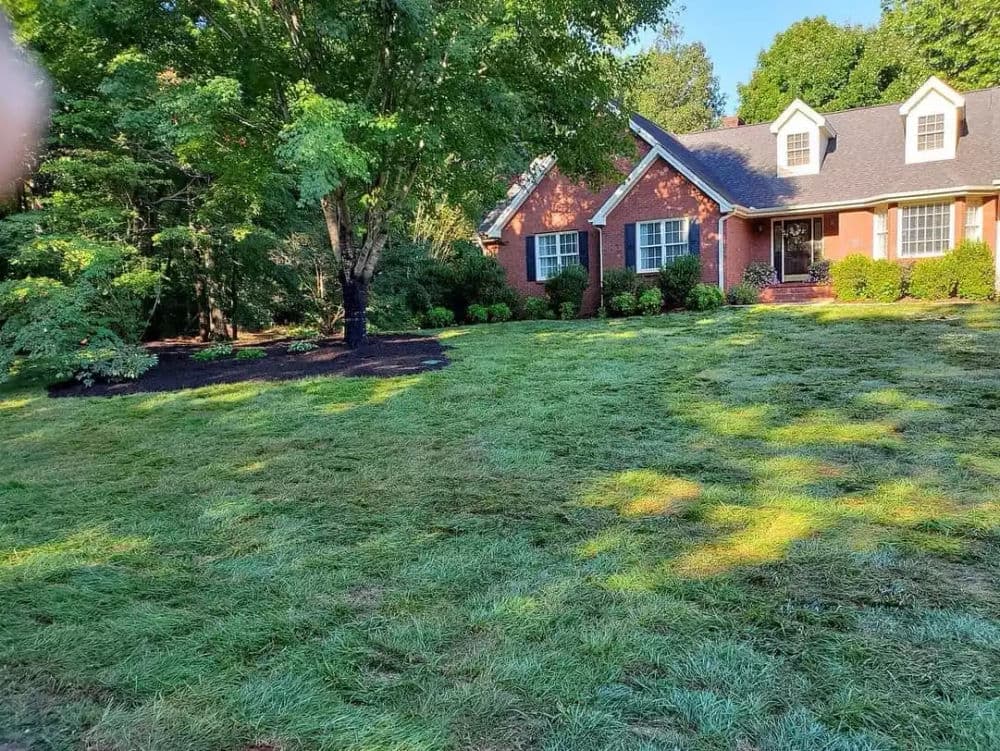Brick house surrounded by lush greenery and manicured lawn in a peaceful neighborhood setting.
