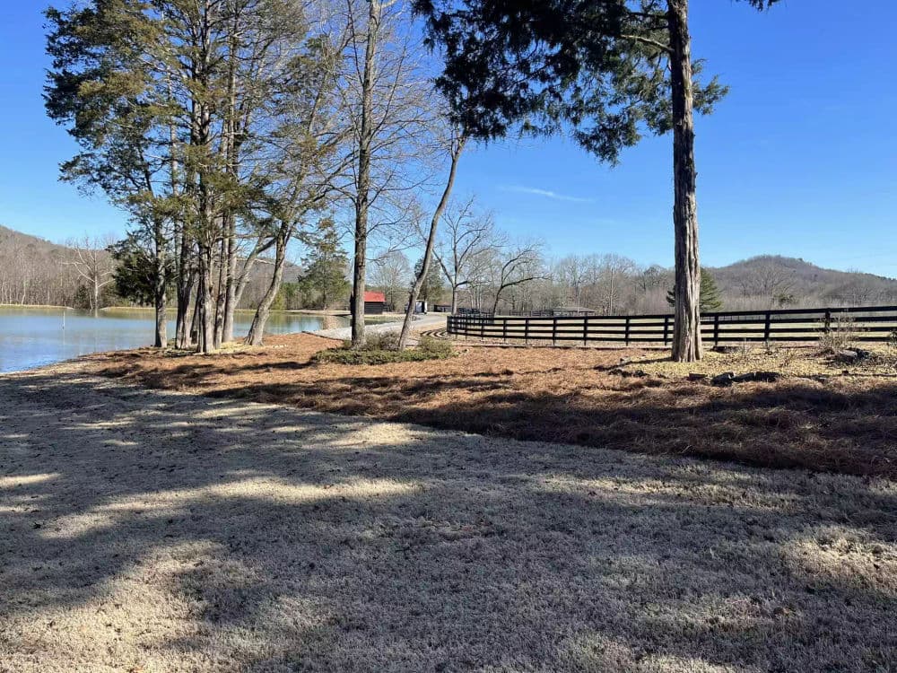 Scenic lakeside view with trees, grass, and a wooden fence under a clear blue sky.