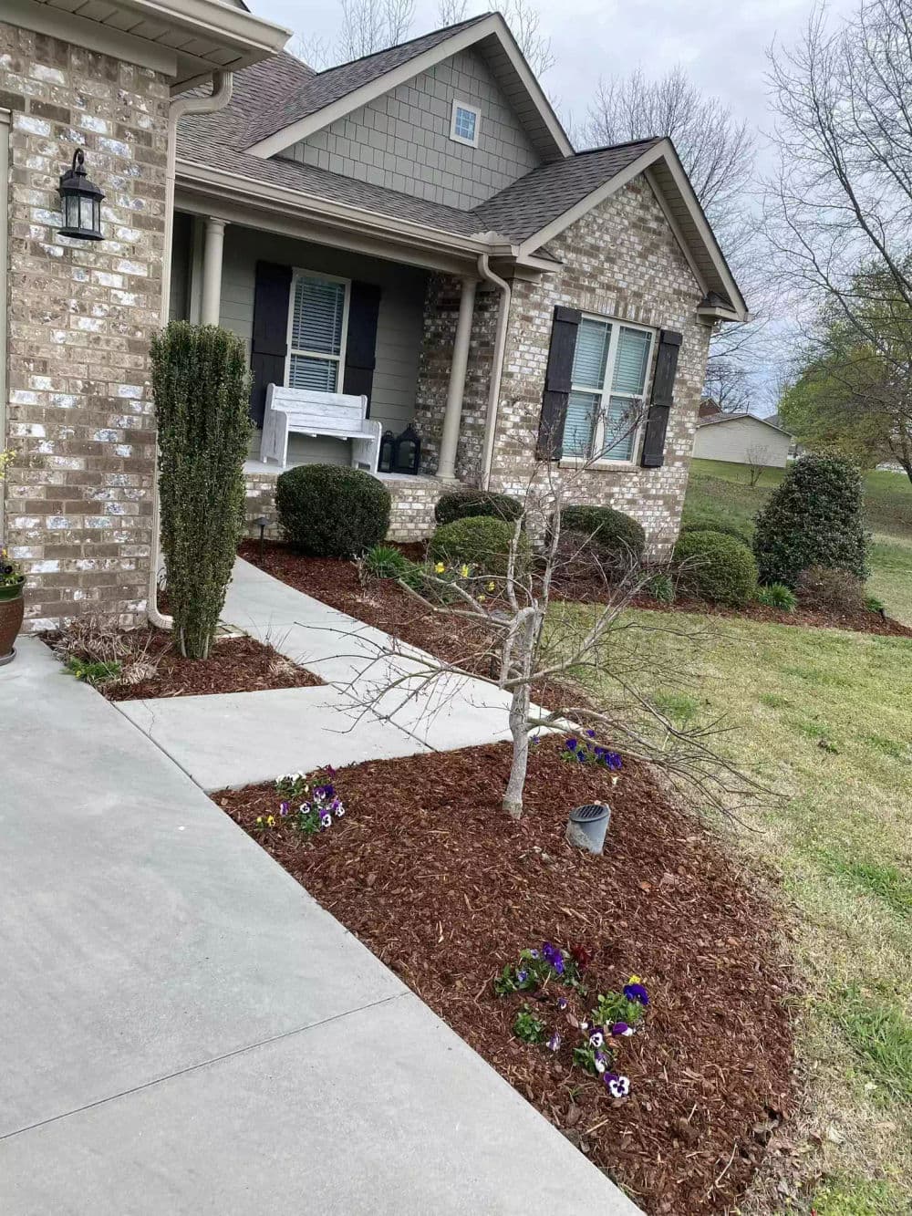 Front yard landscape with concrete pathway, mulched flower beds, and small ornamental tree.