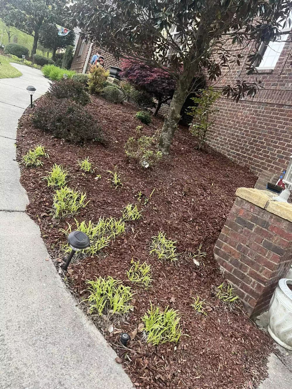 Landscaped garden with mulched flower beds, plants, and a walkway beside a brick house.