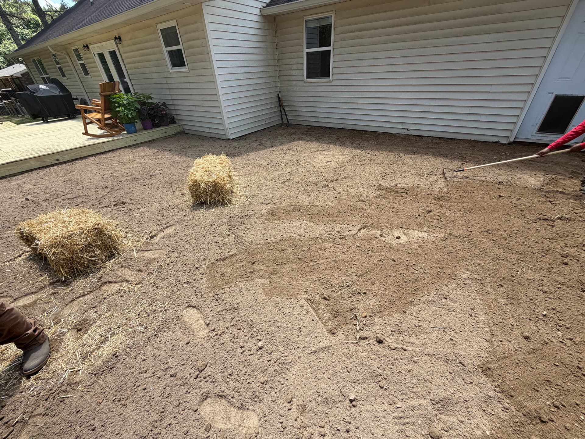 Gallery photos for Backyard Drainage Fix and Privacy Tree Installation Done Right: Image #1