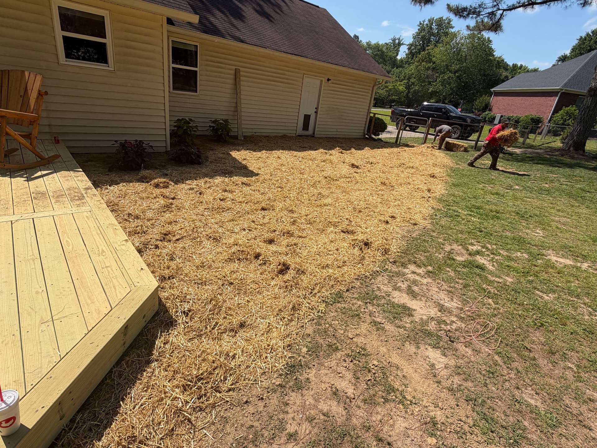 Gallery photos for Backyard Drainage Fix and Privacy Tree Installation Done Right: Image #2
