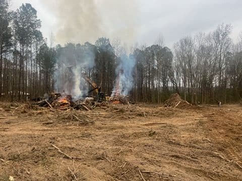 Gallery photos for Comprehensive Landscape Transformation: Image #2